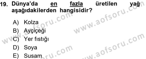 Tarla Bitkileri 2 Dersi 2015 - 2016 Yılı (Vize) Ara Sınav Soruları 19. Soru