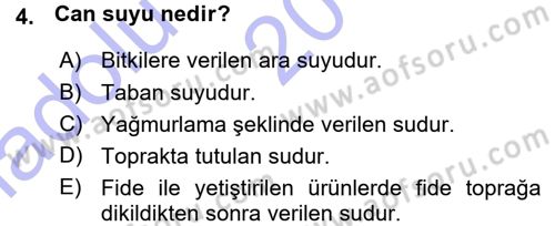 Tarla Bitkileri 2 Dersi 2015 - 2016 Yılı (Vize) Ara Sınav Soruları 4. Soru