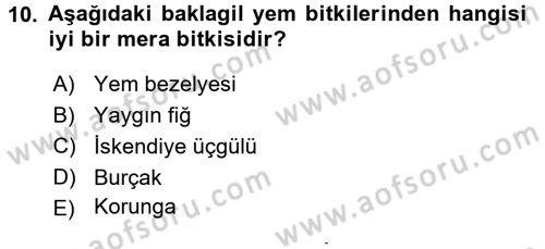 Tarla Bitkileri 2 Dersi 2015 - 2016 Yılı (Final) Dönem Sonu Sınav Soruları 10. Soru
