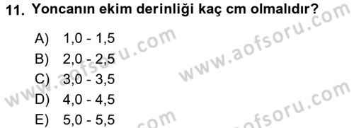 Tarla Bitkileri 2 Dersi 2015 - 2016 Yılı (Final) Dönem Sonu Sınav Soruları 11. Soru