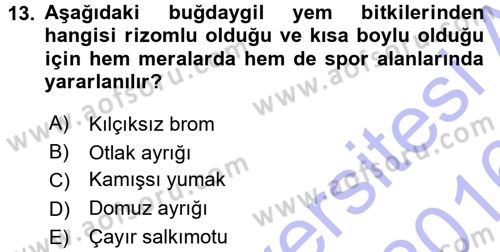 Tarla Bitkileri 2 Dersi 2015 - 2016 Yılı (Final) Dönem Sonu Sınav Soruları 13. Soru