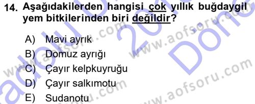 Tarla Bitkileri 2 Dersi 2015 - 2016 Yılı (Final) Dönem Sonu Sınav Soruları 14. Soru