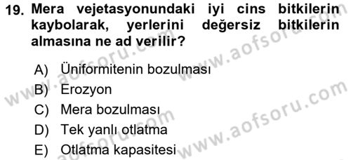 Tarla Bitkileri 2 Dersi 2015 - 2016 Yılı (Final) Dönem Sonu Sınav Soruları 19. Soru