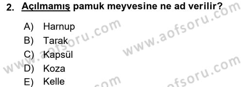 Tarla Bitkileri 2 Dersi 2015 - 2016 Yılı (Final) Dönem Sonu Sınav Soruları 2. Soru