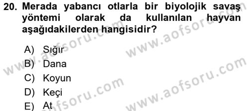 Tarla Bitkileri 2 Dersi 2015 - 2016 Yılı (Final) Dönem Sonu Sınav Soruları 20. Soru