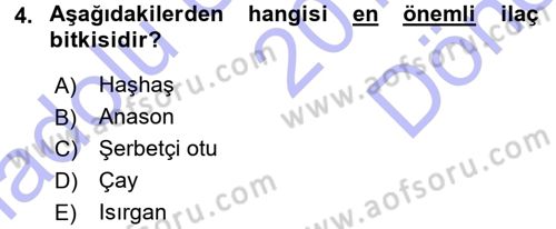 Tarla Bitkileri 2 Dersi 2015 - 2016 Yılı (Final) Dönem Sonu Sınav Soruları 4. Soru