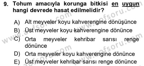 Tarla Bitkileri 2 Dersi 2015 - 2016 Yılı (Final) Dönem Sonu Sınav Soruları 9. Soru