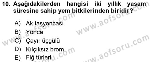 Tarla Bitkileri 2 Dersi 2016 - 2017 Yılı 3 Ders Sınav Soruları 10. Soru
