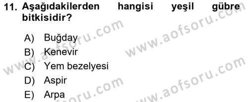 Tarla Bitkileri 2 Dersi 2016 - 2017 Yılı 3 Ders Sınav Soruları 11. Soru