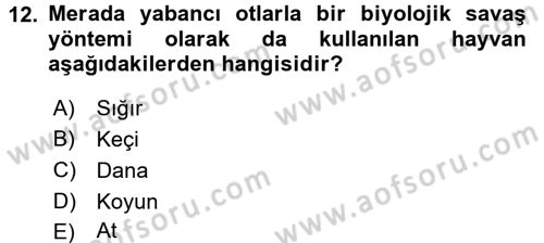 Tarla Bitkileri 2 Dersi 2016 - 2017 Yılı 3 Ders Sınav Soruları 12. Soru
