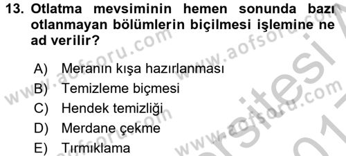 Tarla Bitkileri 2 Dersi 2016 - 2017 Yılı 3 Ders Sınav Soruları 13. Soru