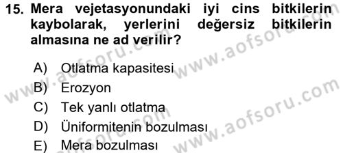 Tarla Bitkileri 2 Dersi 2016 - 2017 Yılı 3 Ders Sınav Soruları 15. Soru