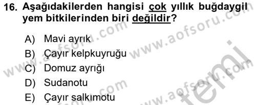 Tarla Bitkileri 2 Dersi 2016 - 2017 Yılı 3 Ders Sınav Soruları 16. Soru