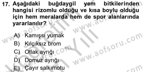 Tarla Bitkileri 2 Dersi 2016 - 2017 Yılı 3 Ders Sınav Soruları 17. Soru