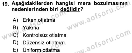 Tarla Bitkileri 2 Dersi 2016 - 2017 Yılı 3 Ders Sınav Soruları 19. Soru
