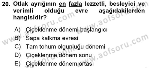 Tarla Bitkileri 2 Dersi 2016 - 2017 Yılı 3 Ders Sınav Soruları 20. Soru