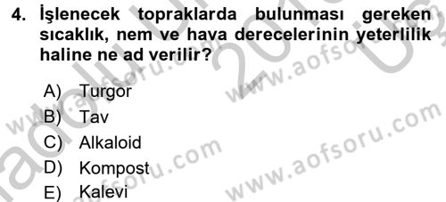 Tarla Bitkileri 2 Dersi 2016 - 2017 Yılı 3 Ders Sınav Soruları 4. Soru