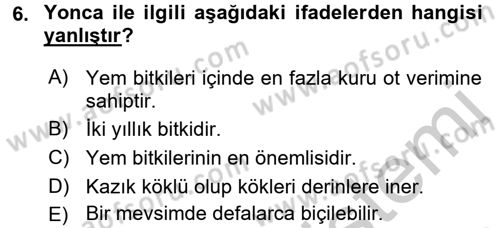 Tarla Bitkileri 2 Dersi 2016 - 2017 Yılı 3 Ders Sınav Soruları 6. Soru