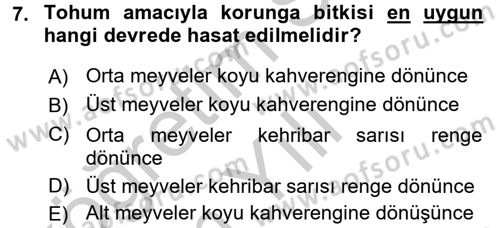 Tarla Bitkileri 2 Dersi 2016 - 2017 Yılı 3 Ders Sınav Soruları 7. Soru