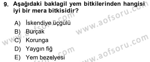 Tarla Bitkileri 2 Dersi 2016 - 2017 Yılı 3 Ders Sınav Soruları 9. Soru