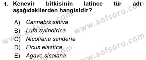Tarla Bitkileri 2 Dersi 2016 - 2017 Yılı (Vize) Ara Sınav Soruları 1. Soru