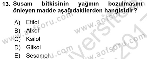 Tarla Bitkileri 2 Dersi 2016 - 2017 Yılı (Vize) Ara Sınav Soruları 13. Soru
