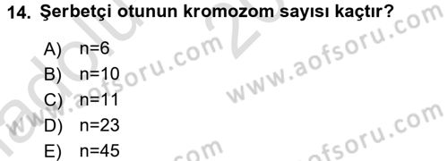 Tarla Bitkileri 2 Dersi 2016 - 2017 Yılı (Vize) Ara Sınav Soruları 14. Soru