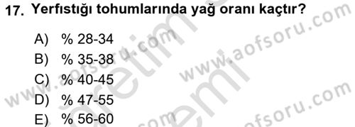 Tarla Bitkileri 2 Dersi 2016 - 2017 Yılı (Vize) Ara Sınav Soruları 17. Soru