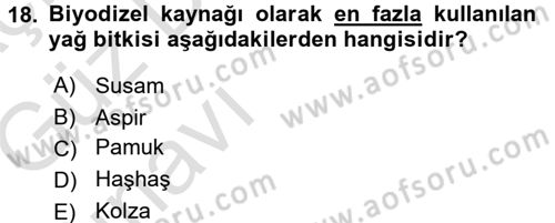 Tarla Bitkileri 2 Dersi 2016 - 2017 Yılı (Vize) Ara Sınav Soruları 18. Soru