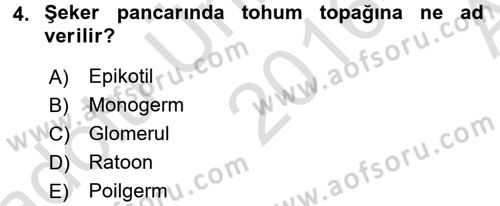 Tarla Bitkileri 2 Dersi 2016 - 2017 Yılı (Vize) Ara Sınav Soruları 4. Soru