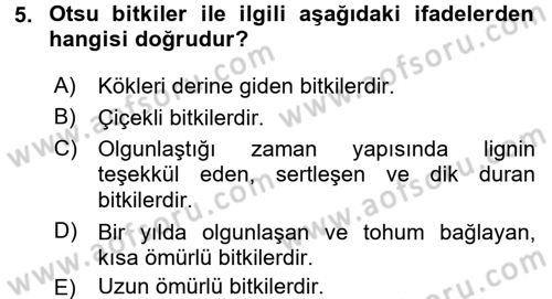 Tarla Bitkileri 2 Dersi 2016 - 2017 Yılı (Vize) Ara Sınav Soruları 5. Soru