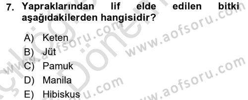 Tarla Bitkileri 2 Dersi 2016 - 2017 Yılı (Vize) Ara Sınav Soruları 7. Soru