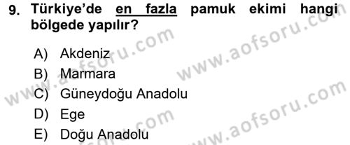 Tarla Bitkileri 2 Dersi 2016 - 2017 Yılı (Vize) Ara Sınav Soruları 9. Soru