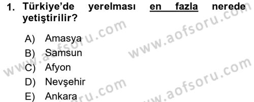 Tarla Bitkileri 2 Dersi 2016 - 2017 Yılı (Final) Dönem Sonu Sınav Soruları 1. Soru