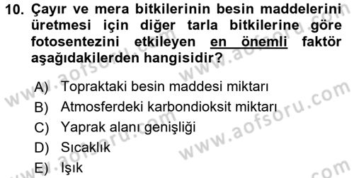 Tarla Bitkileri 2 Dersi 2016 - 2017 Yılı (Final) Dönem Sonu Sınav Soruları 10. Soru