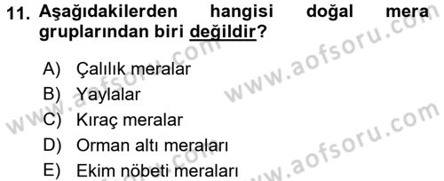 Tarla Bitkileri 2 Dersi 2016 - 2017 Yılı (Final) Dönem Sonu Sınav Soruları 11. Soru