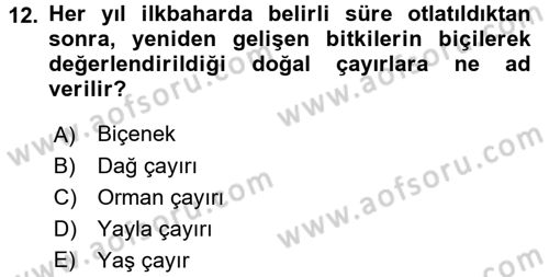 Tarla Bitkileri 2 Dersi 2016 - 2017 Yılı (Final) Dönem Sonu Sınav Soruları 12. Soru