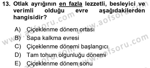 Tarla Bitkileri 2 Dersi 2016 - 2017 Yılı (Final) Dönem Sonu Sınav Soruları 13. Soru