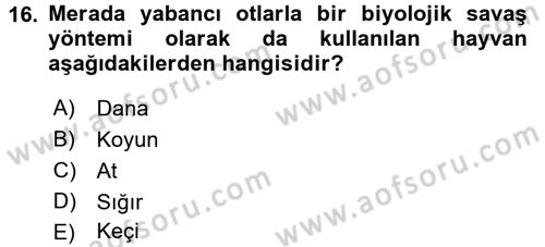 Tarla Bitkileri 2 Dersi 2016 - 2017 Yılı (Final) Dönem Sonu Sınav Soruları 16. Soru