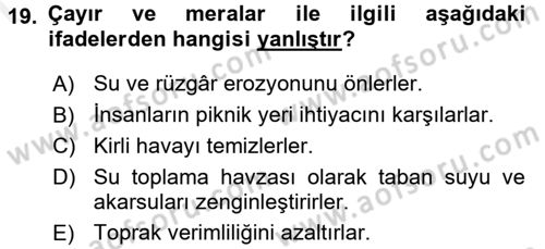 Tarla Bitkileri 2 Dersi 2016 - 2017 Yılı (Final) Dönem Sonu Sınav Soruları 19. Soru