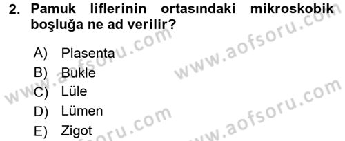 Tarla Bitkileri 2 Dersi 2016 - 2017 Yılı (Final) Dönem Sonu Sınav Soruları 2. Soru