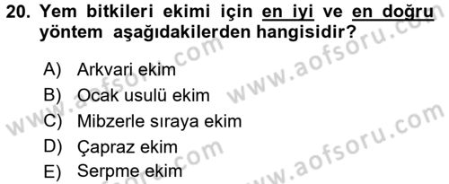 Tarla Bitkileri 2 Dersi 2016 - 2017 Yılı (Final) Dönem Sonu Sınav Soruları 20. Soru