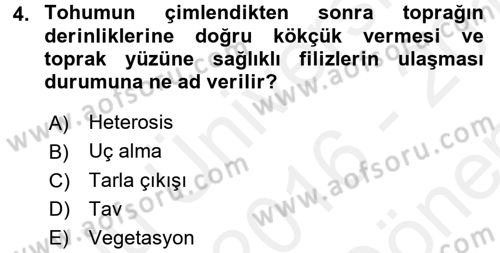 Tarla Bitkileri 2 Dersi 2016 - 2017 Yılı (Final) Dönem Sonu Sınav Soruları 4. Soru