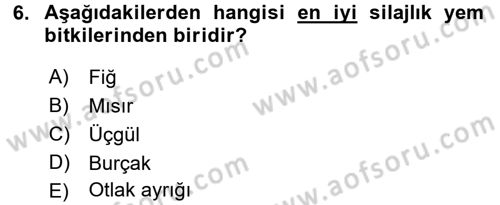 Tarla Bitkileri 2 Dersi 2016 - 2017 Yılı (Final) Dönem Sonu Sınav Soruları 6. Soru