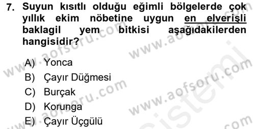 Tarla Bitkileri 2 Dersi 2016 - 2017 Yılı (Final) Dönem Sonu Sınav Soruları 7. Soru