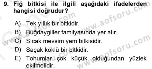 Tarla Bitkileri 2 Dersi 2016 - 2017 Yılı (Final) Dönem Sonu Sınav Soruları 9. Soru