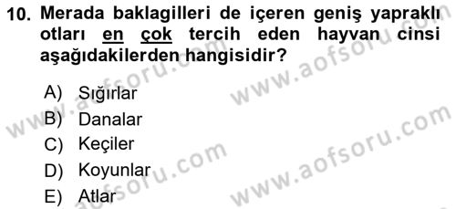 Tarla Bitkileri 2 Dersi 2017 - 2018 Yılı 3 Ders Sınav Soruları 10. Soru