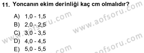 Tarla Bitkileri 2 Dersi 2017 - 2018 Yılı 3 Ders Sınav Soruları 11. Soru