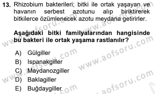 Tarla Bitkileri 2 Dersi 2017 - 2018 Yılı 3 Ders Sınav Soruları 13. Soru