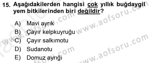 Tarla Bitkileri 2 Dersi 2017 - 2018 Yılı 3 Ders Sınav Soruları 15. Soru